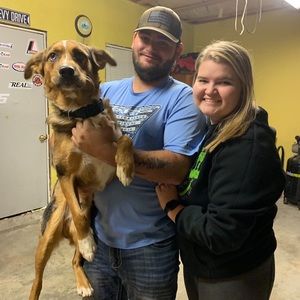 Meet your Posher, Kelsie